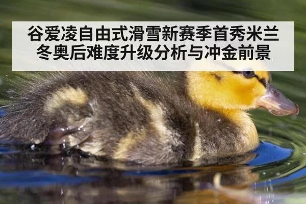 谷爱凌自由式滑雪新赛季首秀米兰冬奥后难度升级分析与冲金前景